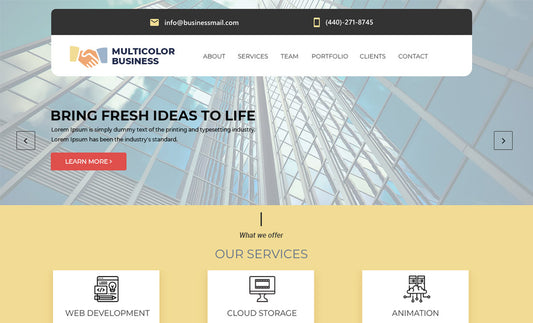 Multicolor Business Pro
