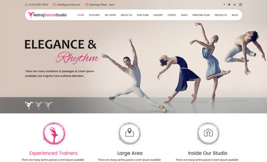 Nataraj Dance Studio Pro