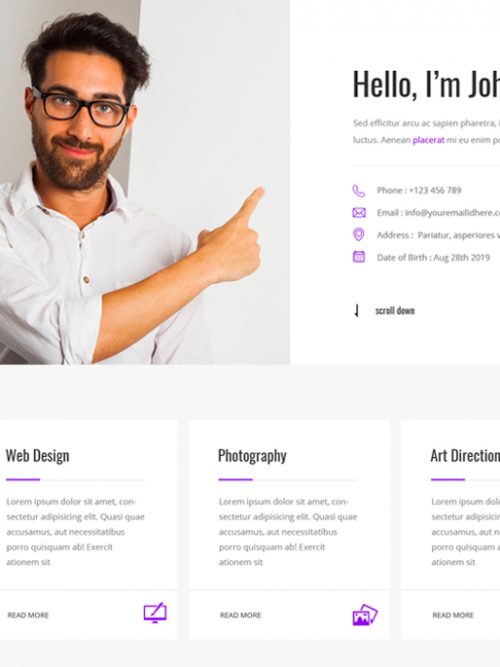 Resume Wordpress Theme