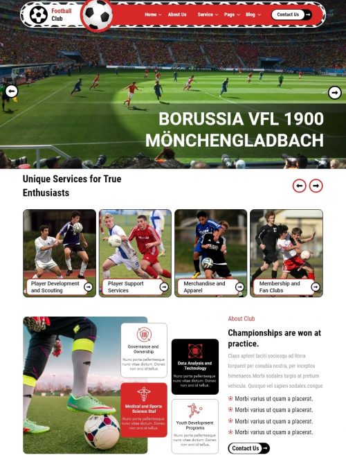 football wp theme